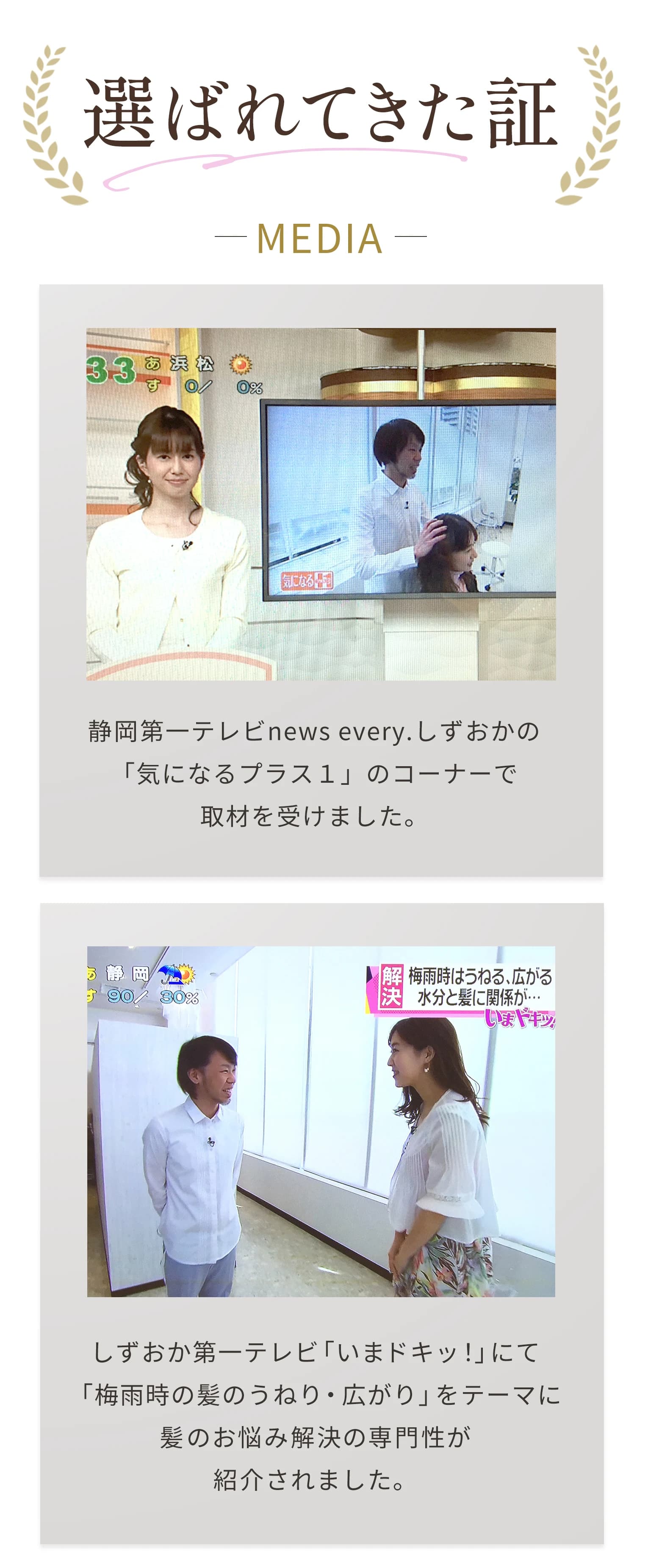 選ばれてきた証。静岡第一テレビ news every. しずおか「気になるプラス」のコーナーで取材を受けました