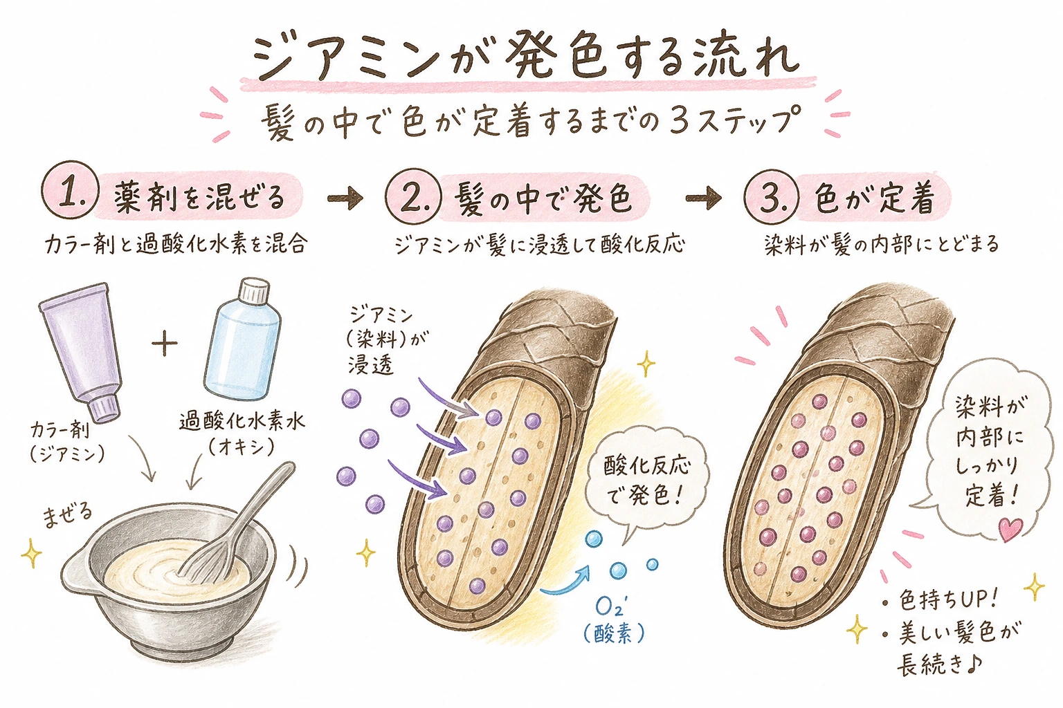 ジアミンが発色する流れ｜髪の中で色が定着するまでの3ステップ