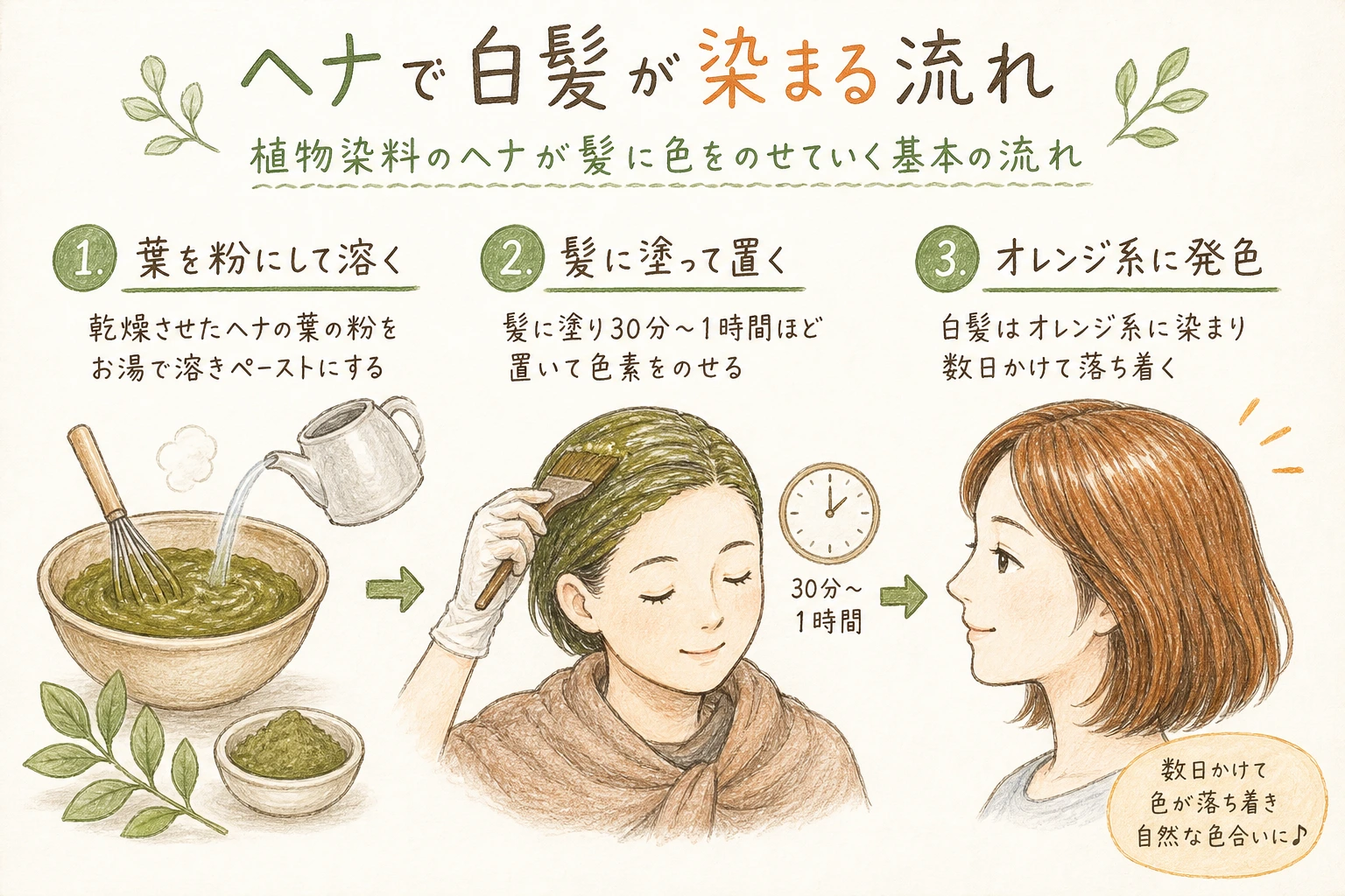 ヘナで白髪が染まる流れ｜植物染料のヘナが髪に色をのせていく基本の流れ