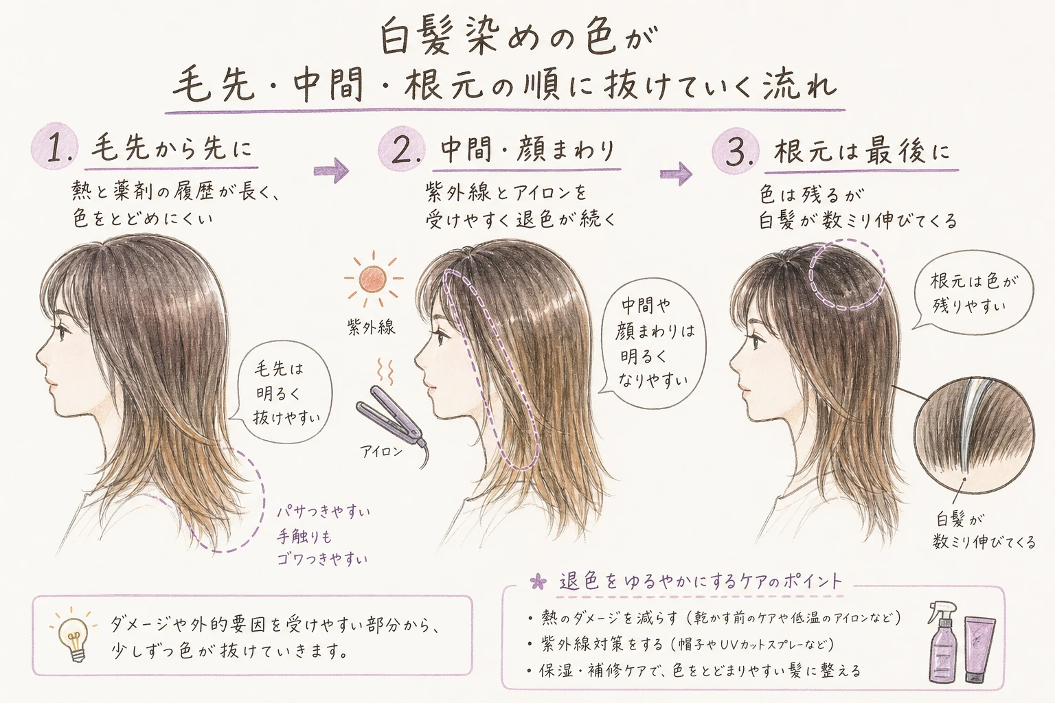 色は傷んだ場所から抜けます｜白髪染めの色が毛先・中間・根元の順に抜けていく流れ