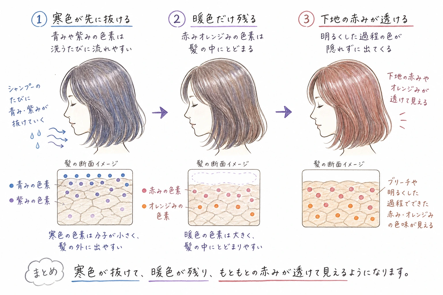 色は寒色から先に抜けます｜白髪染めの色素が抜けて赤みが見えてくるまでの流れ