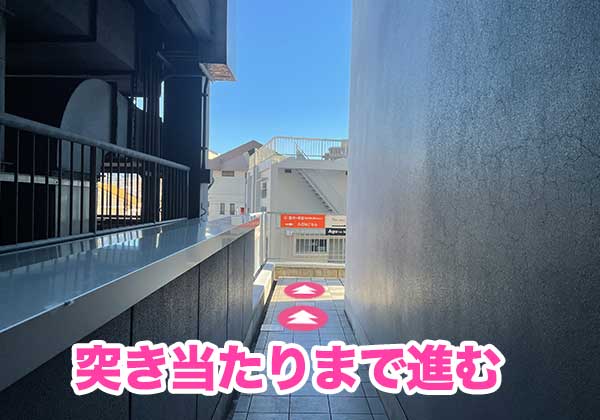 髪と健康-アクセス7
